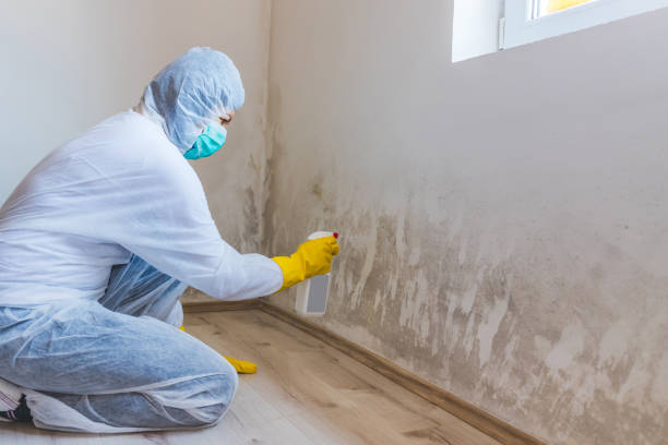 Crawl Space Mold Remediation treatment of floor joists in Sherwood